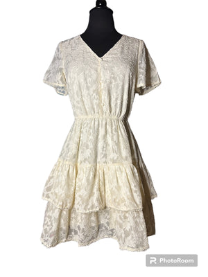 Floral Lace Fit and Flare Mini Dress Off White