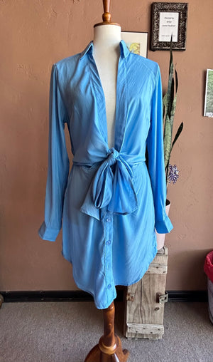 Baby Blue Satin Long Sleeve Mini Dress