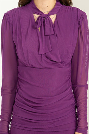 Purple Sheer Long Sleeve Mini Dress