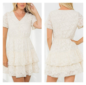 Floral Lace Fit and Flare Mini Dress Off White