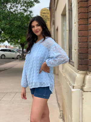 Baby Blue Swiss Dot Long Sleeve Blouse