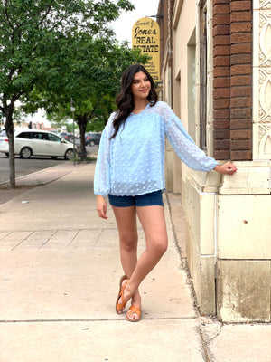 Baby Blue Swiss Dot Long Sleeve Blouse