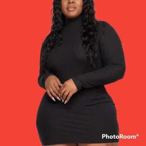 Plus Mockneck Mini Dresses