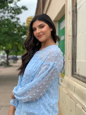 Baby Blue Long Sleeve Blouse