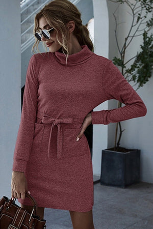 Mauve Turtleneck Mini Dress